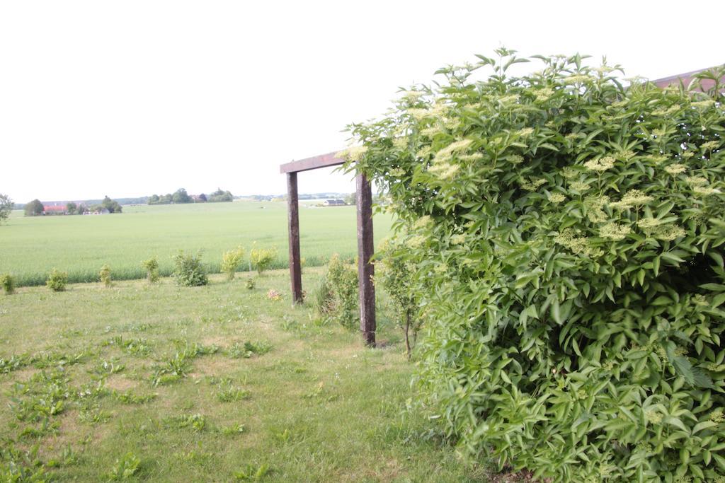 Hanksville Farm Svalöv Oda fotoğraf