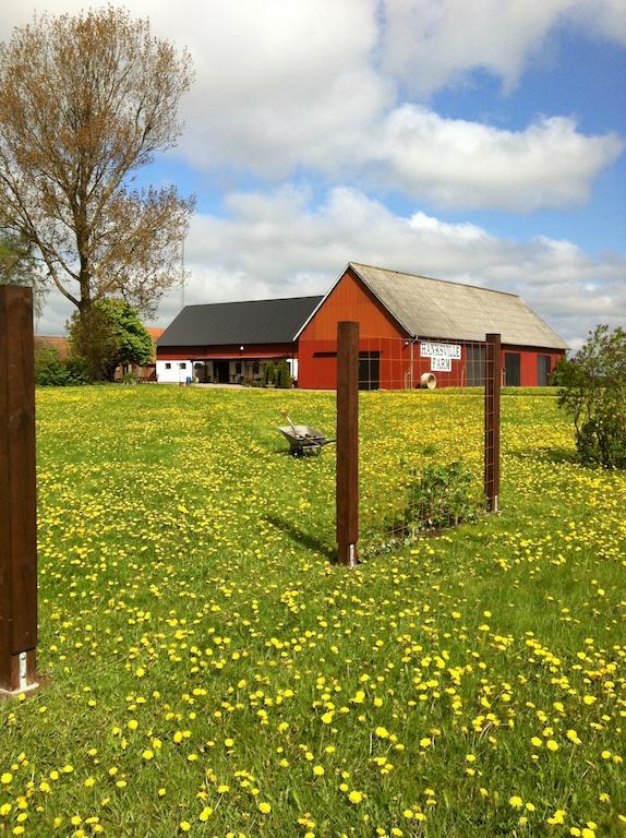 Hanksville Farm Svalöv Oda fotoğraf
